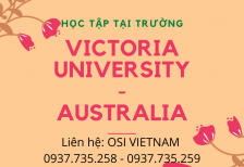 Victoria University -	TOP 2% các trường Đại học hàng đầu thế giới