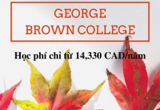 Học tập tại George Brown College với học phí chỉ từ 14,330 CAD