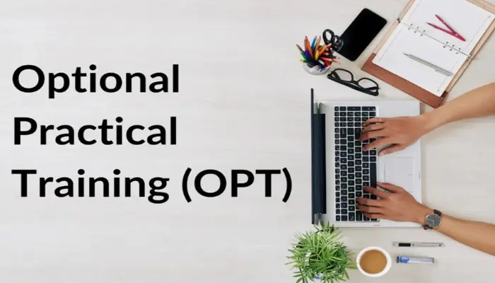 Chương tr&igrave;nh OPT (Optional Practical Training)